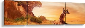 Obraz - Żyrafy w Afryce (170x50 cm)