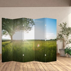 Parawan - Letnia łąka (210x170 cm)