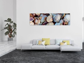Obraz muszelek (170x50 cm)