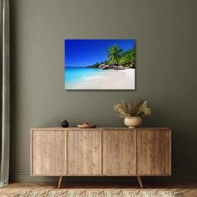 Obraz plaży na wyspie Praslin (70x50 cm)
