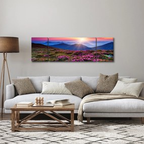 Obraz - Krajobraz kwitnących gór (170x50 cm)