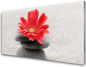 Szkło Ozdobne do Kuchni Radosna Gerbera w Detalu