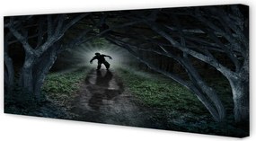 Zdjęcie na płótnie Ciemny Las i Postać