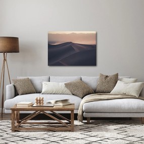 Obraz - Wydmy piaskowe (70x50 cm)