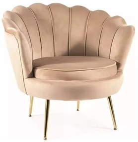 FOTEL CAMELLIA 1 VELVET BEŻOWY BLUVEL 28/ZŁOTY SIGNAL