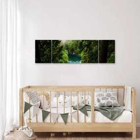 Obraz - Przestrzeń między drzewami (170x50 cm)