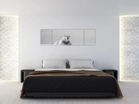Obraz - Niedźwiedź polarny (170x50 cm)