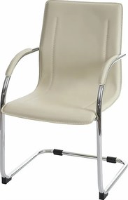 Przewodniczący konferencji Perm,  kremowy