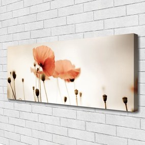 Obraz canvas Klasyczne Czerwone Maki