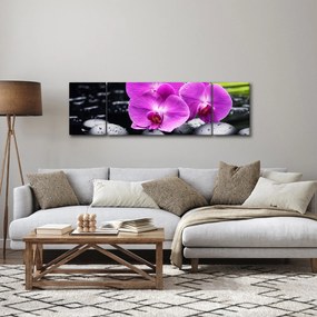 Obraz - Storczyki (170x50 cm)