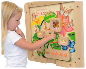 Cykl życia motylka tablica edukacyjna masterkidz