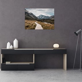 Obraz - Chodnik w dolinie góry Mt. Cook (70x50 cm)