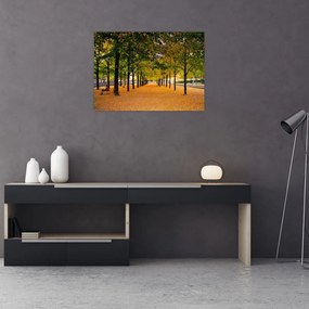 Obraz na szkle - aleja jesiennych drzew (70x50 cm)