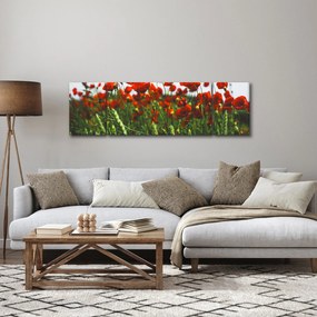 Obraz maków na wietrze (170x50 cm)