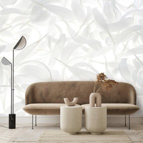 Fototapeta - Białe listki (196x136 cm)