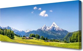 Obraz drukowany na płótnie Krajobraz Pogórza z Drzewami