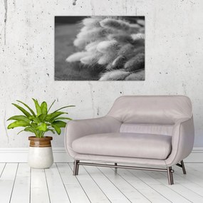 Obraz na szkle - trawa z króliczym ogonkiem na stole (70x50 cm)