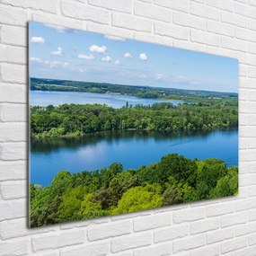 Foto obraz szklany Las nad jeziorem
