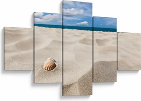 Obraz - Muszle na plaży (125x70 cm)