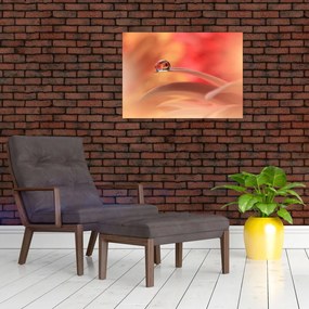 Obraz na szkle kwiecistej kropli rosy (70x50 cm)