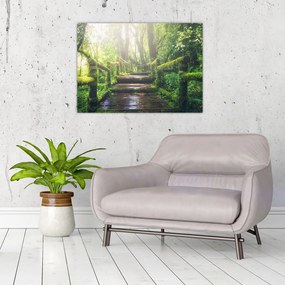 Obraz - drewniane schody w lesie (70x50 cm)