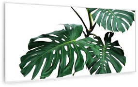 Klarstein Wonderwall Art Smart 700W Panel na Podczerwień W Formie Obrazu Liść II
