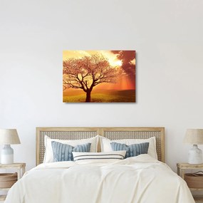 Obraz na szkle promieni Boga (70x50 cm)