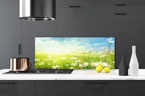 Panel Kuchenny Polana Pełna Stokrotek