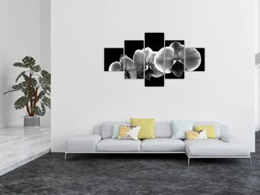 Obraz kwiatu orchidei (125x70 cm)