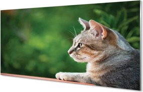 Panel Szklany Hipnotyzujące Spojrzenie Pupila