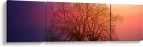 Obraz drzew we mgle (170x50 cm)