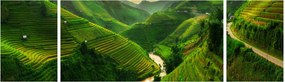 Obraz - Tarasy ryżowe Mu Cang Chai (170x50 cm)