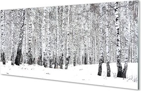 Szklany Panel Zimowy Las Brzozowy