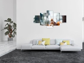 Obraz - Wiewiórka (125x70 cm)