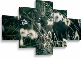 Obraz - Pajęczyna (125x70 cm)