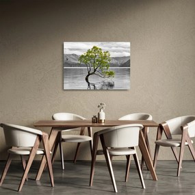 Obraz na szkle drzewa na środku jeziora (70x50 cm)