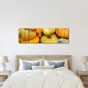 Obraz - Jesienna dynia (170x50 cm)