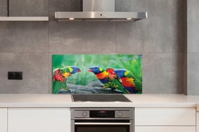 Panel Kuchenny Szklany Egzotyczne Papugi w Koronie Drzew