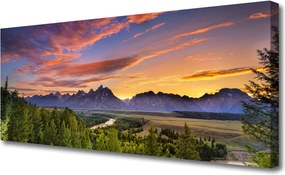 Obraz canvas Górskie Słońce w Gęstym Lesie