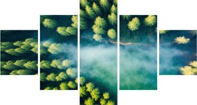 Obraz - Las spowity mgłą (125x70 cm)