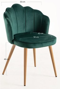 Aksamitne krzeso Blume