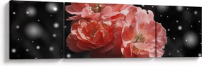 Obraz różowego kwiatu (170x50 cm)
