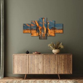 Obraz - Żyrafy na pastwisku (125x70 cm)