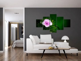 Obraz kwiatu róży (125x70 cm)