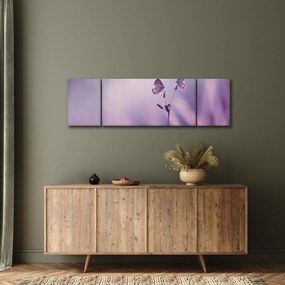 Obraz - Fioletowe motyle (170x50 cm)