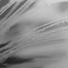Obraz - Mlecz (170x50 cm)