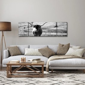 Obraz - Krowa, czarno - biała (170x50 cm)