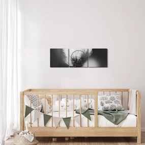 Obraz - Czarno-biała trawa bawełniana (z zegarem) (90x30 cm)