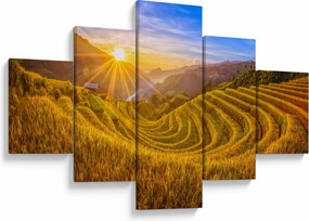 Obraz - Pole ryżowe w Wietnamie (125x70 cm)