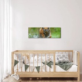 Obraz - Biegnący tygrys (z zegarem) (90x30 cm)